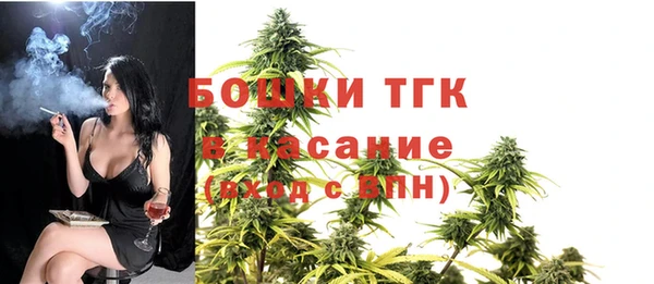 дживик Михайлов