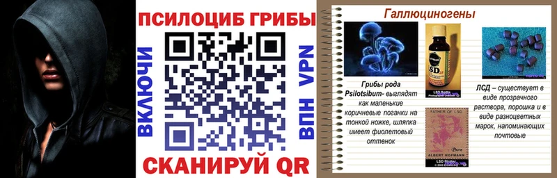 Галлюциногенные грибы прущие грибы  Купить  Красноуфимск 